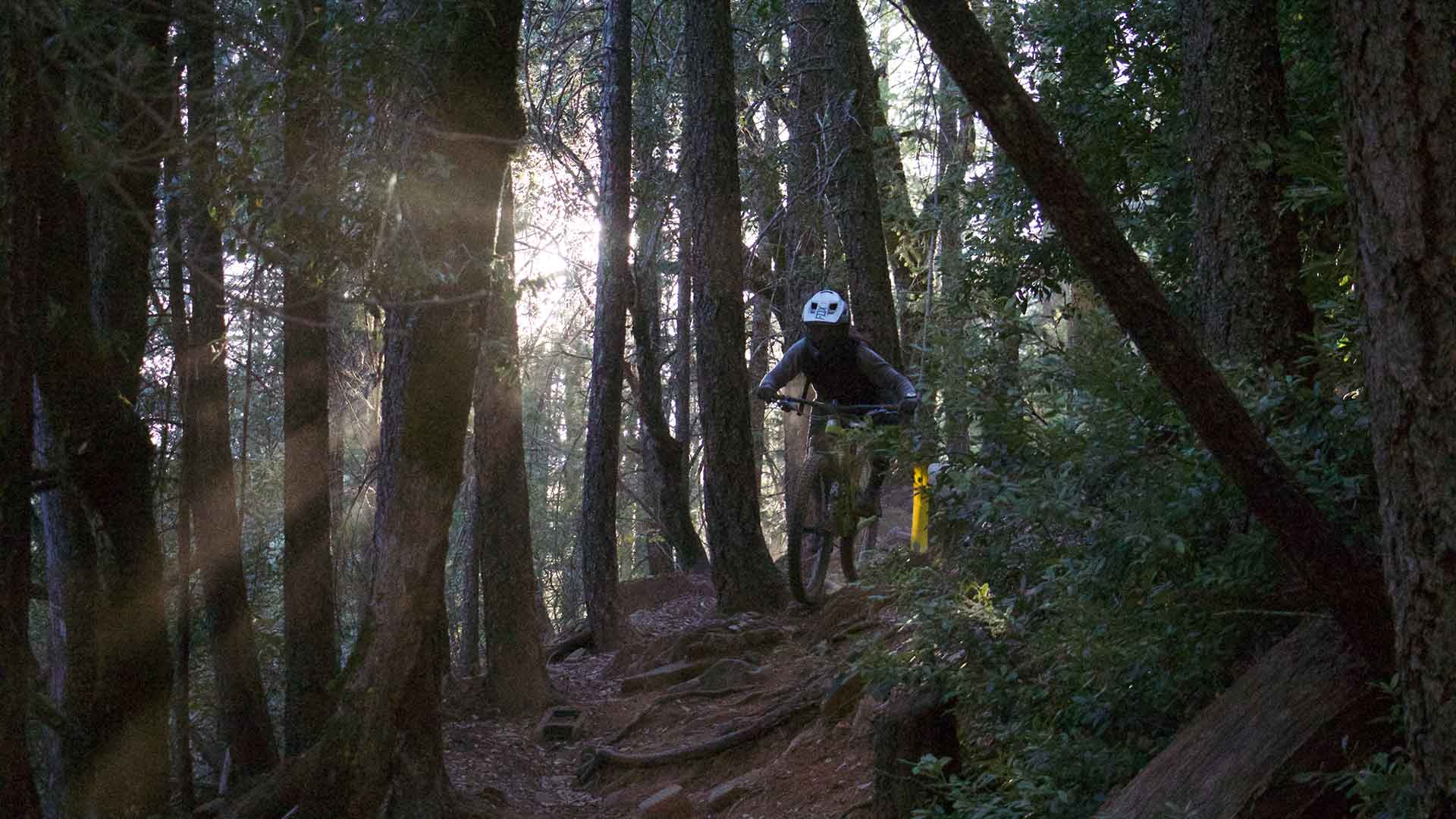 Ride Georgetown California